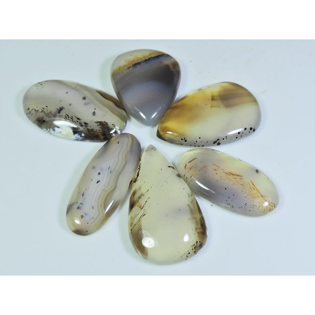 153Cts. Natural Botswana Agate Pear Cabochon Loose Gemstone 6 Pcs Lot A-675