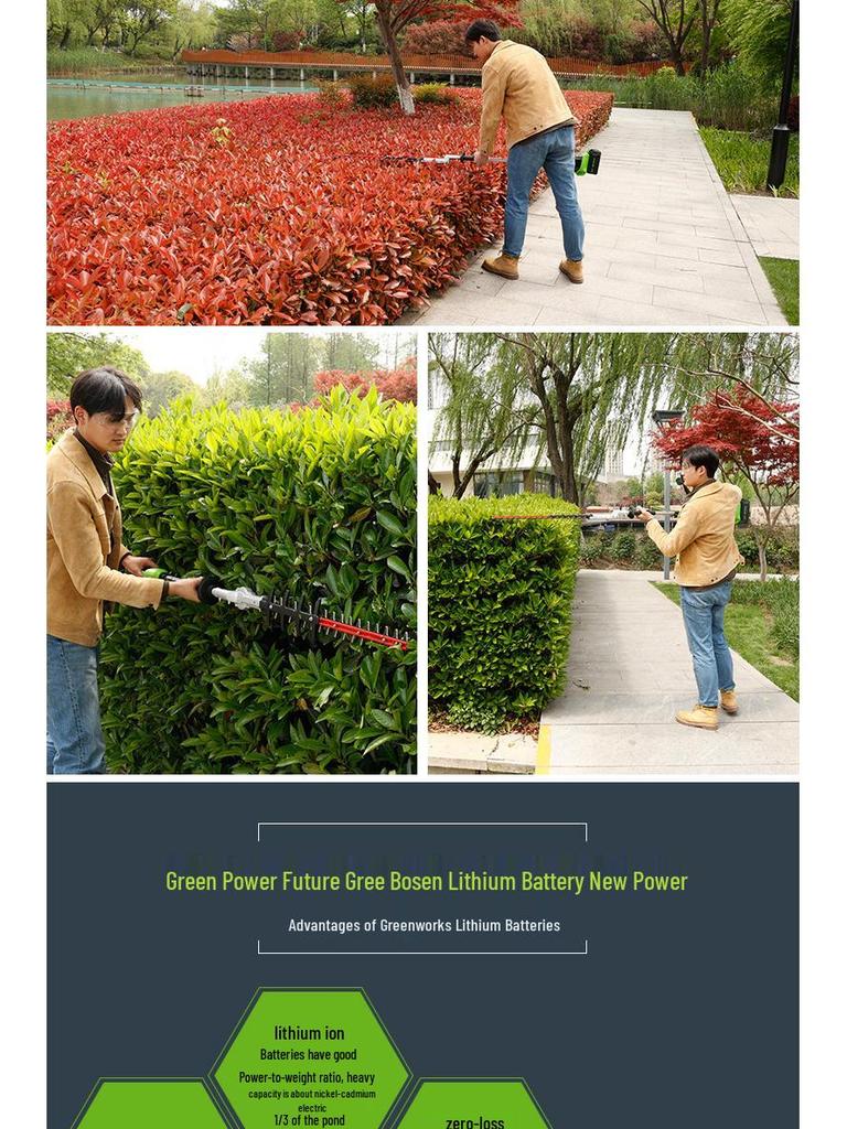 Greenworks 40V Cordless High Reach Pruner - Electric Branch Pruner for Fruit Trees, Includes Lithium Battery