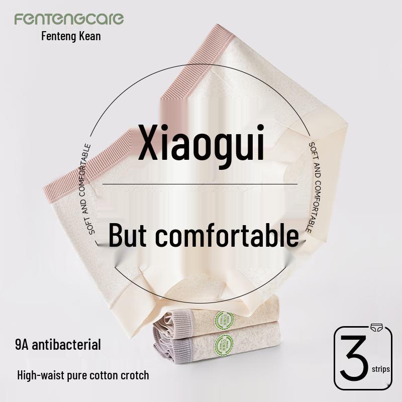 FENTENGCARE Women s 9A Antibacterial Seamless Cotton Briefs (3-Pack) 2XL