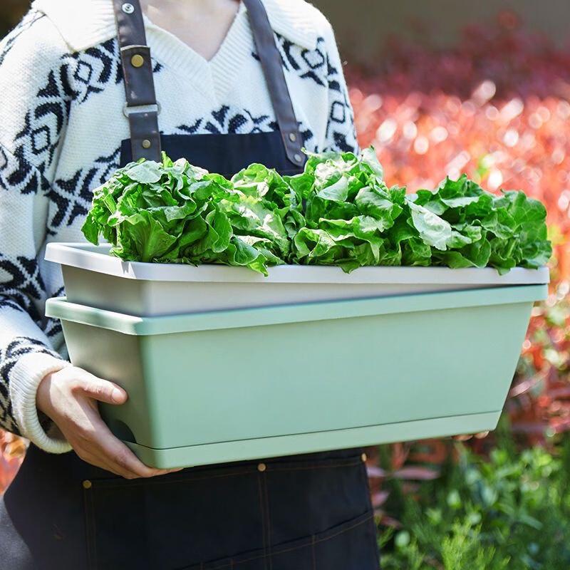 Shangqi Thickened Rectangular Garden Planter with Tray