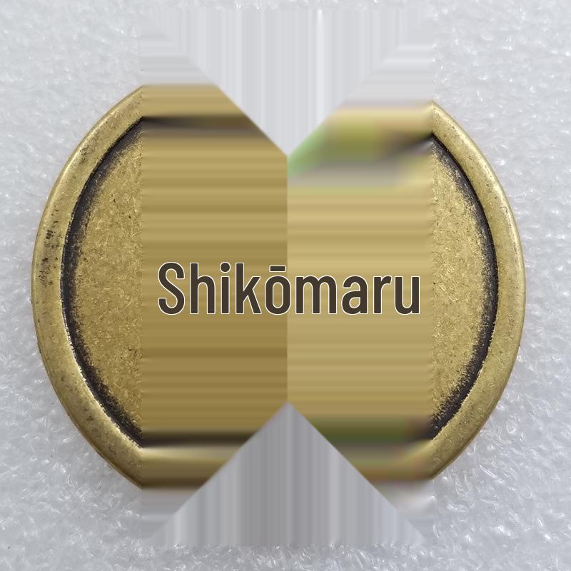 Antique Brass Copper Coin Charm - Da Shun Tong Bao, 43mm Diameter, Five Emperors Coins T219 Copper