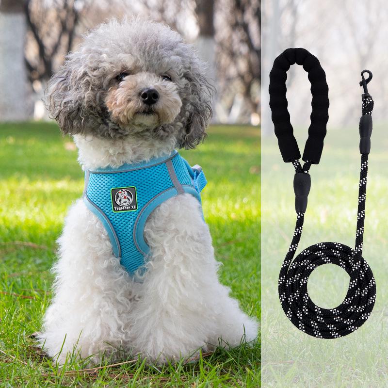 Vest-Style Harness and Leash Set for Small Dogs: Bichon, Teddy, Pomeranian