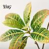 Artificial Botanical Decor for Living Space Banyan Tree Branch, Realistic Green Ivy Plant Home Office Decor, Decorative Plants Bedroom Nightstand