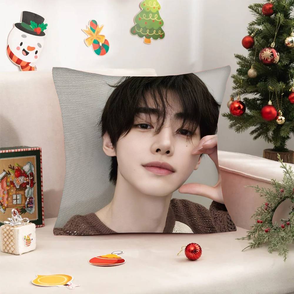 Federe fodere cuscini divani soggiorno decorazioni per la casa regali Park S-ung-hoon Cantante Pop