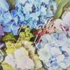 Sanrio Message Card Early Summer Card Flower Box Hydrangea Greeting Card Can be shipped overseas JES SANRIO 212946 1-4