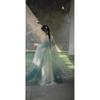 Womens Tang Dynasty Style Hanfu Set With Embroidered Sleeve Top High-Waist Skirt