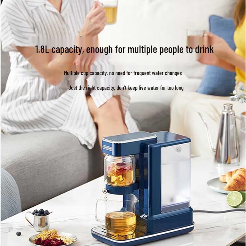 Morphy Richards Instant Hot Water Kettle & Tea Maker CN plug (adapter included)