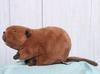 Takeoff Plush Beaver M
