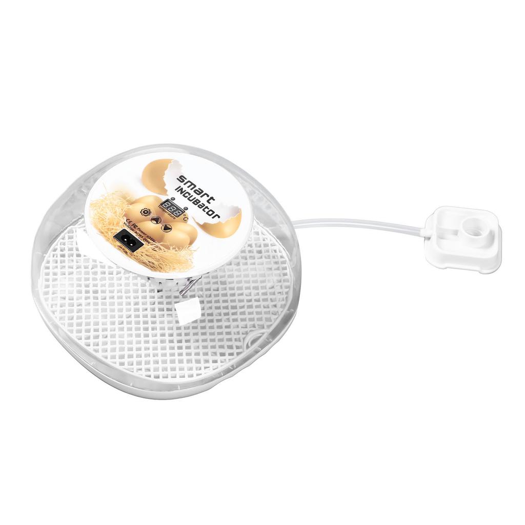 12 Egg Incubator Automatic Egg Turner Small Poultry Incubator 360 Degree View for Hatching Chicken