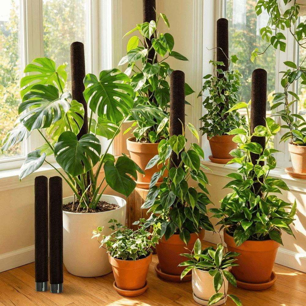 With Cover Plant Support Bracket Ventilate Potted Plant Holder  Balcony Gardening