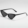 Cat Eye Sunglasses Retro Small Frame Fashion Sun Glasses for Women UV Protection Stylish