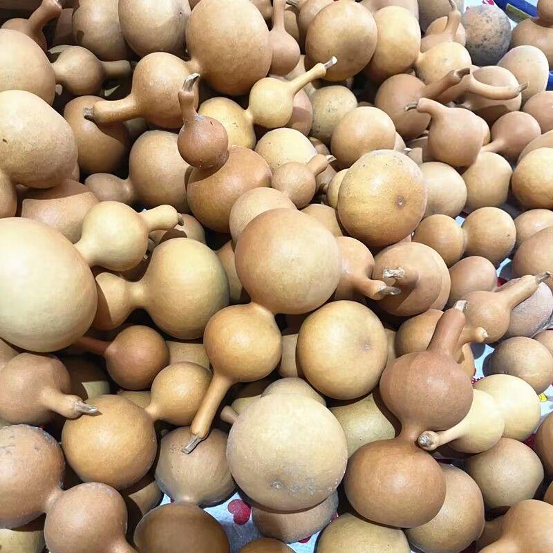 

Gold-Twist Lined Small Gourd Pendant - Natural & Handcrafted 1 piece (4-7cm random)