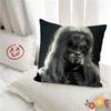 pc CClair OObscur EExpedition  Pillow Case Fashion Square Pillowcase Bedroom Sofa Room Ins Decoration Leisure