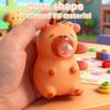 New Cute Capybara Pendant Keyring Bag Charm PVC Cartoon Capybara Spitting Toy Stress Relief Decompression Toys for Kid Best Gift