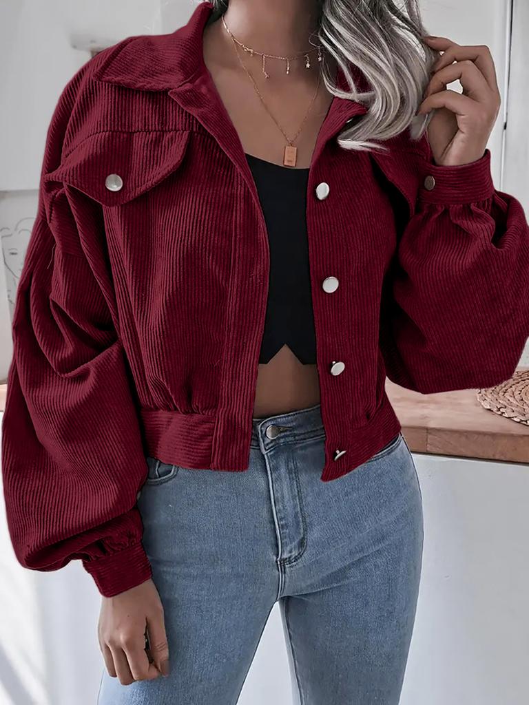 Ins Style Autumn Velvet Long Sleeve Cardigan Jacket for Women