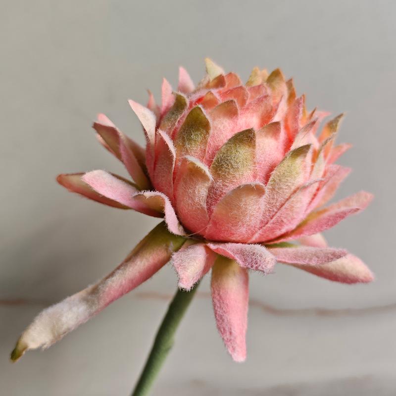 Handgefertigte Distelblumen-Arrangement - Hochzeits- & Wohnaccessoire