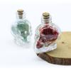 Crystals Healing MINI Crushed Stones Skull Spell Jars Crystal Chakra Stones Cute Glass BottleHealing Crystals Mini Skull Bottles