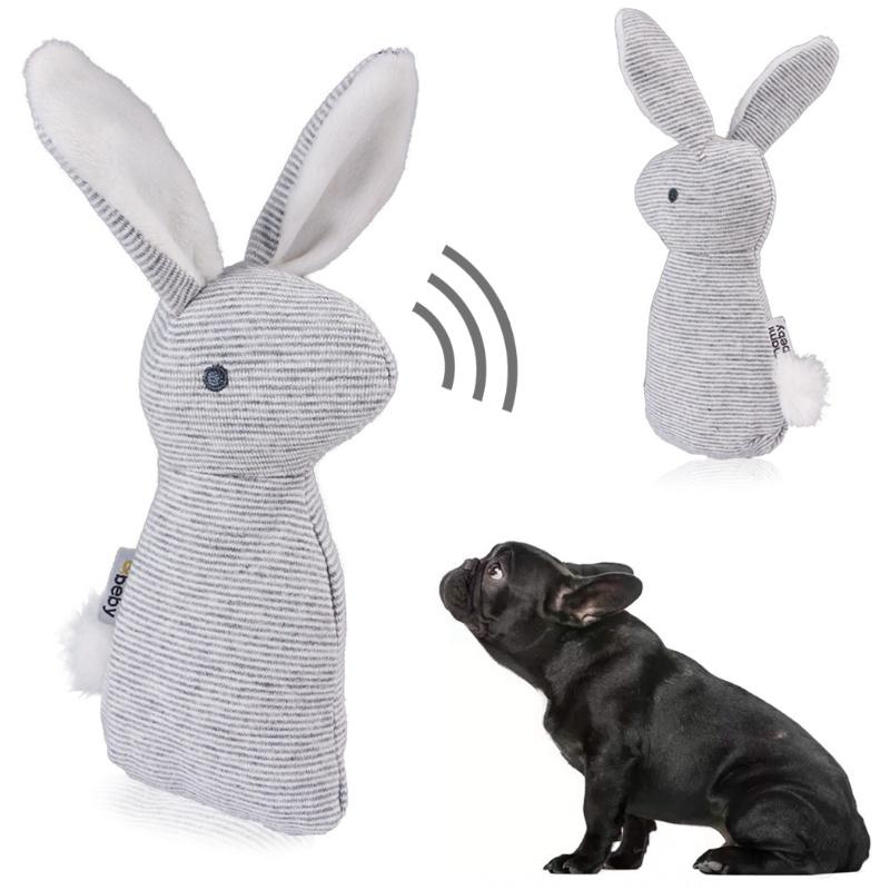 squeaky rabbit dog toy
