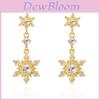 Snowflake Pendant Earrings With Zirconia Drop For Women Seasonal Jewelry