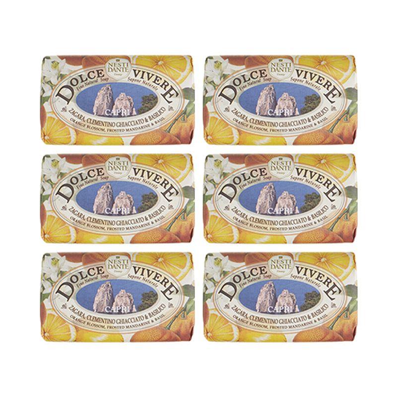 Nestidante Dolce Vivere 2 Capri Soap 250g x 6 Pack [Box Product]