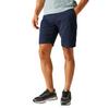 Regatta Mens Bendrick Shorts