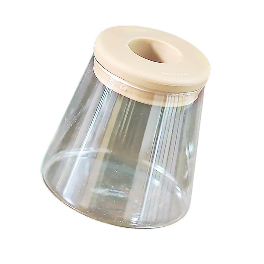 Self Watering Flowerpots Indoor Miniature Succulents Planter Tabletop Vase Suitable for Various Inner Decoration Setting