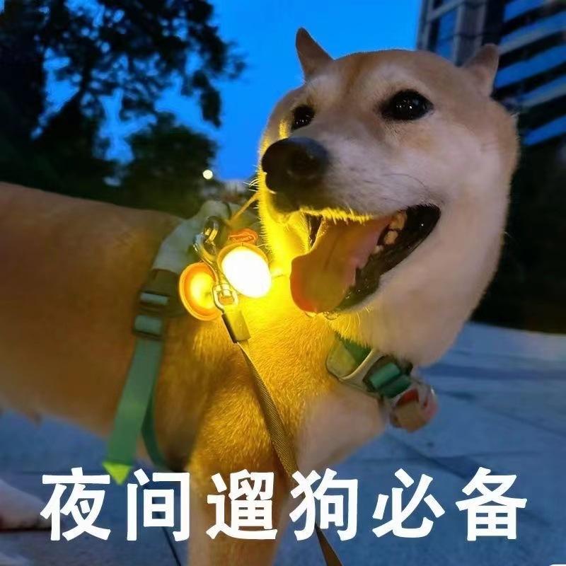 Dog Nighttime Travel Anti-Lost Walking Dog Special Luminous Pendant Flashing Hanging Pendant Pet Accessories Tag Night Light