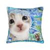 Electronic YK Frutiger Aero Square Pillow Case  Cushion Covers Awesome Zipper Decorative Pillowcase for Sofa cm