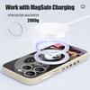 For iPhone 17 Pro Max Case Guitar-playing Panda Magnetic For Magsafe Silicone Cover For iPhone 16 Pro Max Funda iPhone 15 14 13 12 11 16E Air