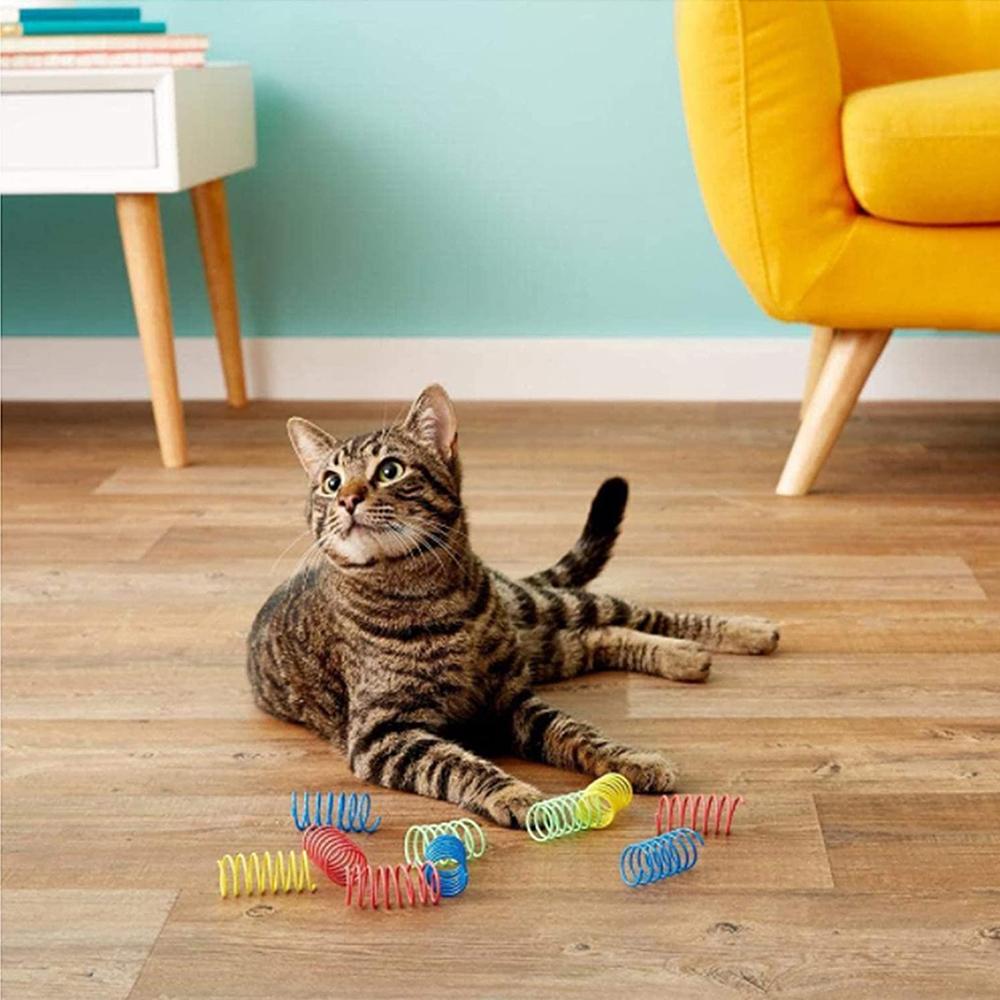 Cat Spring Toy Plastic Reusable Interactive Cat Toys To Kill Time and Keep Fit