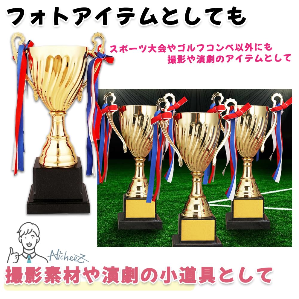 Nicheez Trophy Winner Cup Sports Tournament Competition