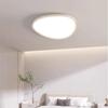 Dream Bubble Double-Layer Pebble LED Ceiling Lamp