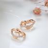 New Unusual Earrings  Rose Gold Micro Wax Inlay Natural Zircon Women Earrings Fashion Party Wedding Jewelry