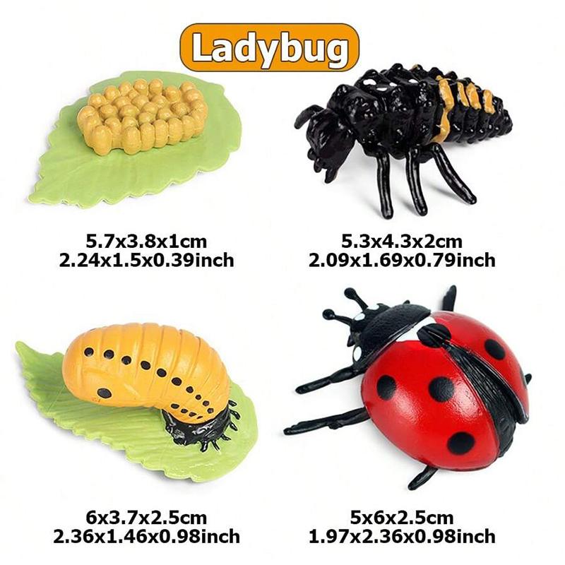 4pcs Mini Animal Plant Growth Cycle Tabletop Ornaments Plastic ABS Growth Process Model Family Decorations Animal Model Set TMZ