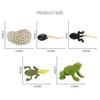 Early Education Kids Child Realistic Animal Growth Process Figures Toy Model