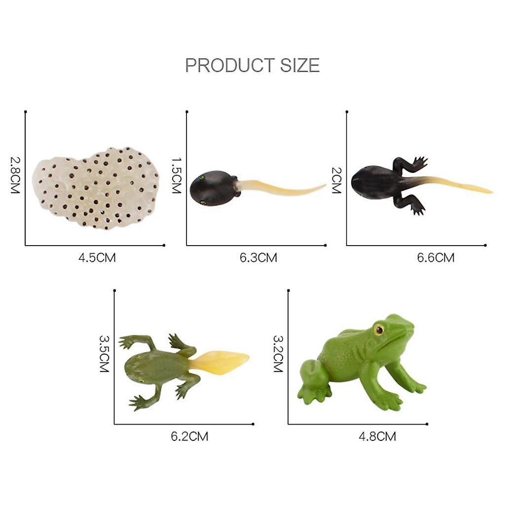 Early Education Kids Child Realistic Animal Growth Process Figures Toy Model