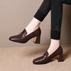 Autumn New Thick Heel Women's Shoes Comfortable and Simple Classic Fashion Single Shoes Women