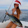 Fishing Reels 11+1BB Metal Trolling Spinning Fishing Wheel Carp Fishing Tackle Tool Sea Fishing Reel