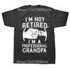 I'm Not Retired I'm A Professional Grandpa Idea Grandfather Gift New T-Shirt Short Sleeve Cotton T Shirts Camisetas