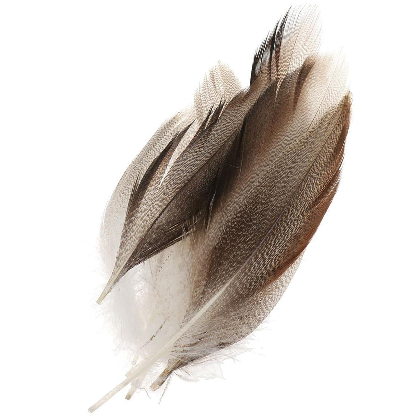 

Набор из 50 утиных перьев кряквы 1,57-4,72 дюйма Натуральные перья для косплей-костюма Свадебной вечеринки Хэллоуинской декорации