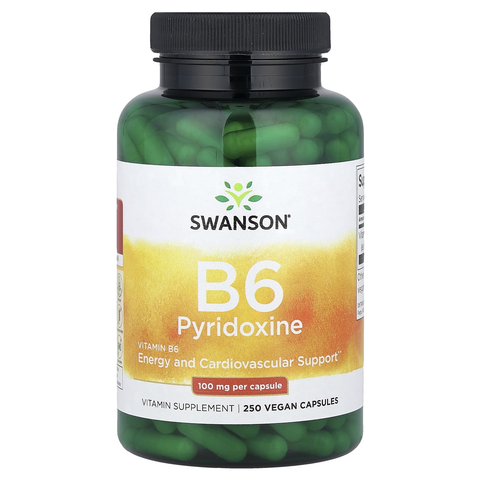 

Vitamin B6 Pyridoxine, 100Mg, 250 Veggie Capsules