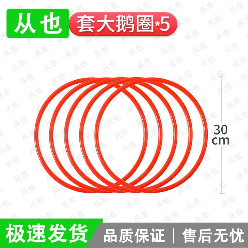 Fun Goose Ring Toss Game Set