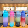 Large Frosted Capacity Sports Kettle Plastic Material Outdoor Portable Colourful