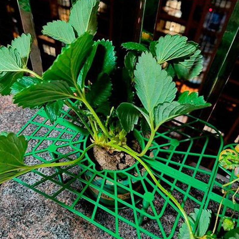 5/20sets Strawberry Stand Plant Frame Climbing Supports Trellis Space Saving Install Friendly Balcony Patio Garden Growing Tool