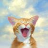 Painting Diy Full 5d Diamond Round Square Drill Rhinestone Cat Diamond Embroidery Picture Cross Stitch Handmade Home Decor Gift