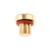 1Pc Brass Car Coolant Water Tank Expansion Drain Screw Plug 17111712788 11537793373 for BMW 128i 135i 318i 318ti 320i X5 X6 Z4 Oil Drain Plugs 3