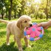 Bite-Resistant Dog Flying Disc Cotton Rope Rope Dog Toy Pet Molar Toy Dog Chew Toy Indoor Activity