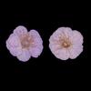 12 Pressed Wintersweet Flower Dried Floral Embellishments Card making Scrapbooking Art Crafts