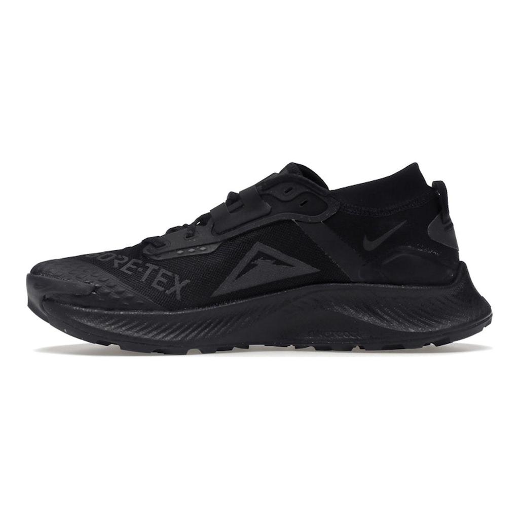 Nike Pánské tenisky Pegasus Trail 3 GTX Triple Black DC8793-001
