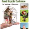 Reptile – Terarii pentru reptile